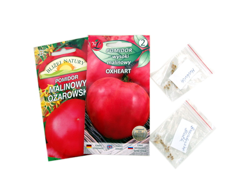 pomidory_hydroponika_1