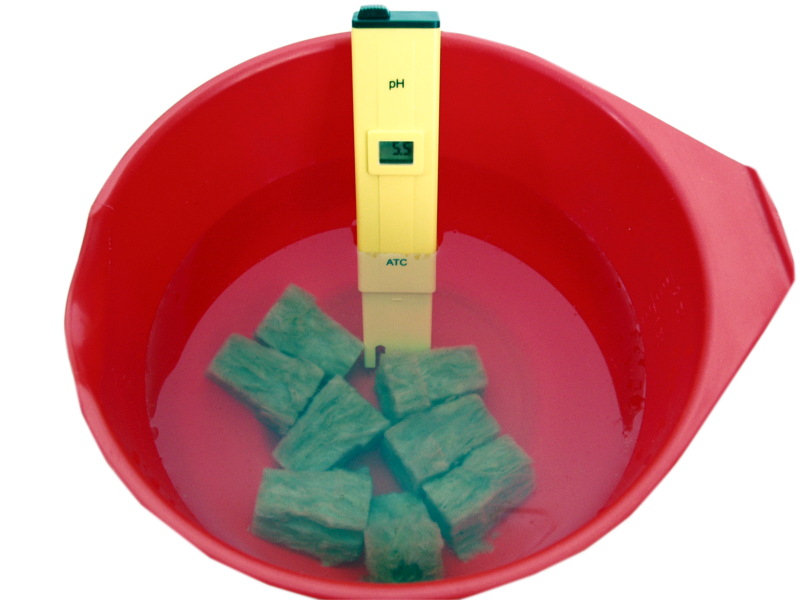 pomidory_hydroponika_2